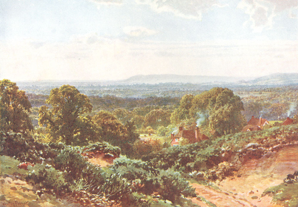 SURREY. Sandhills, towards Blackdown 1912 old antique vintage print picture